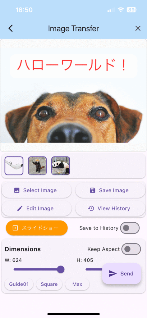 ３：「Send」で画像を送信する。